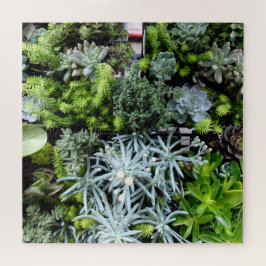 Planten puzzelcactus moeilijk legpuzzel