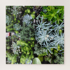 Planten puzzelcactus moeilijk legpuzzel