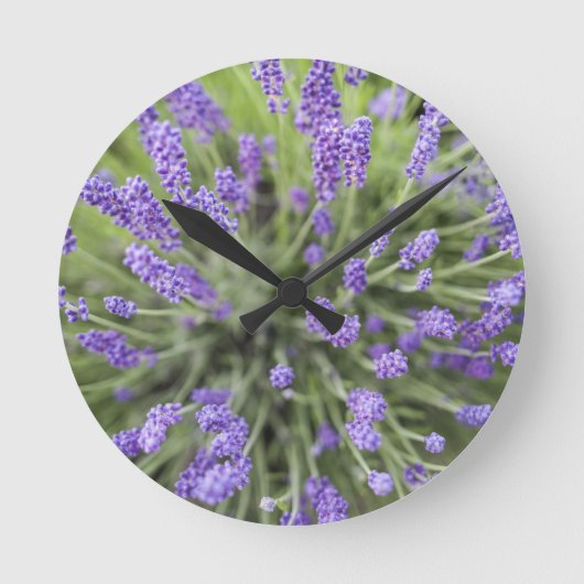 Planten Ronde Klok (Voorkant)