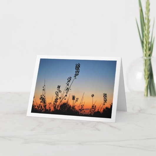 Planten Silhouetten in Hemel Landschap Kaart (Voorkant)