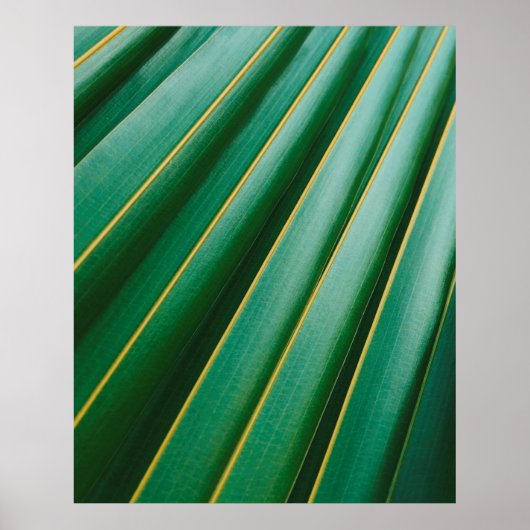 Planten strepen met groene bladtextuur poster (Voorkant)