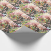 Planten, Succulenten, foto's van Planten Cadeaupapier (Hoek)