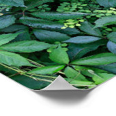 planten uit de tuin van Ken Poster (Hoek)