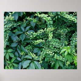 planten uit de tuin van Ken Poster