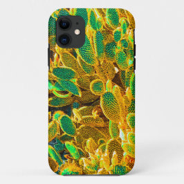 Planten van Afrikaanse woestijncactus Prickly Pear Case-Mate iPhone Case