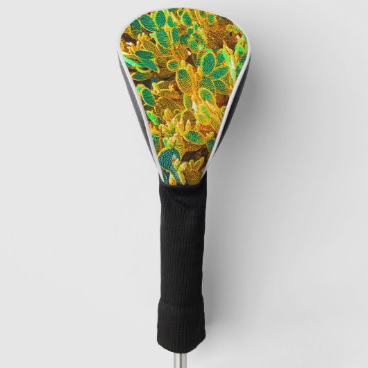 Planten van Afrikaanse woestijncactus Prickly Pear Golfheadcover (Voorkant)