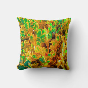 Planten van Afrikaanse woestijncactus Prickly Pear Kussen
