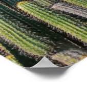 Planten van Afrikaanse woestijncactus Prickly Pear Poster (Hoek)