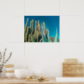 Planten van Afrikaanse woestijncactus Prickly Pear Poster (Keuken)