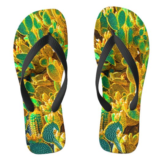 Planten van Afrikaanse woestijncactus Prickly Pear Teenslippers (Voetbed)
