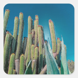 Planten van Afrikaanse woestijncactus Prickly Pear Vierkante Sticker