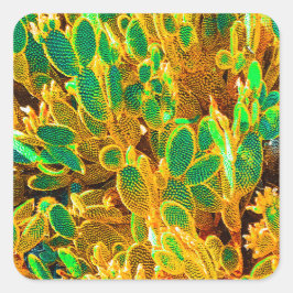 Planten van Afrikaanse woestijncactus Prickly Pear Vierkante Sticker