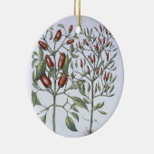 Planten van Chili Pepper uit de "Hortus Eystettens Keramisch Ornament (Rechts)