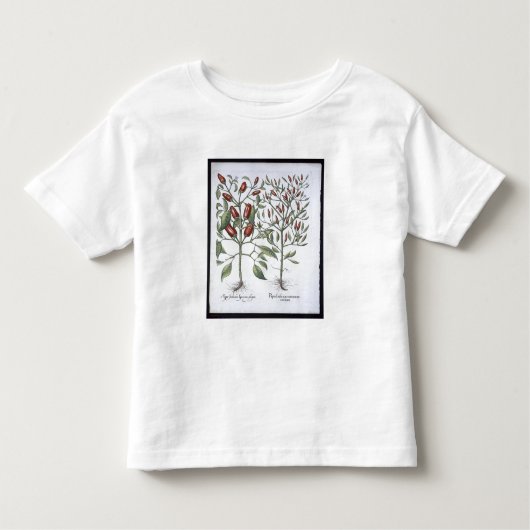 Planten van Chili Pepper uit de "Hortus Eystettens Kinder Shirts (Voorkant)