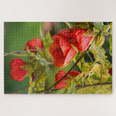 Planten van de Chinese lantaarnabutilon Legpuzzel (Horizontaal)