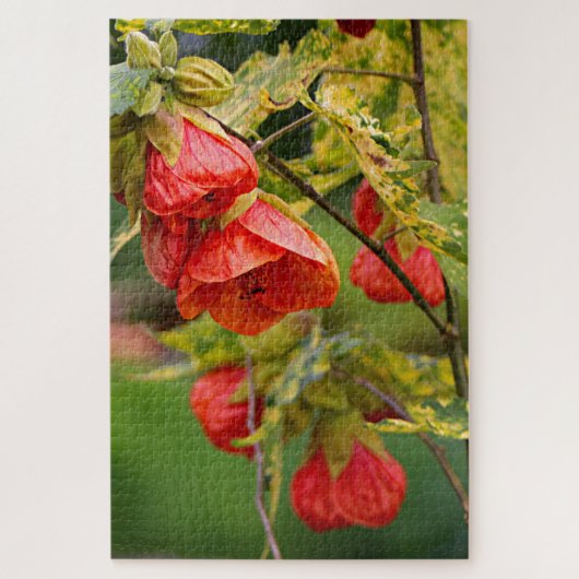 Planten van de Chinese lantaarnabutilon Legpuzzel (Verticaal)