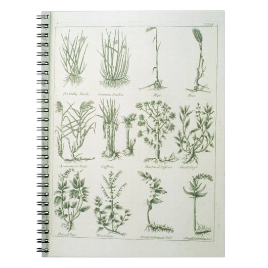 Planten van de Engelse arts en de Comp van Culpepe Notitieboek (Voorkant)