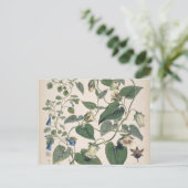 Planten van de Himalaya-botanie Feestdagenkaart (Staand voorkant)