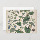 Planten van de Himalaya-botanie Feestdagenkaart (Voorkant / Achterkant)