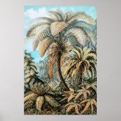  Planten van Ferns door Ernst Haeckel Poster (Voorkant)