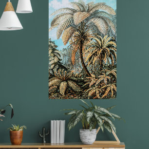  Planten van Ferns door Ernst Haeckel Poster