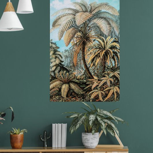  Planten van Ferns door Ernst Haeckel Poster (Woonkamer 1)