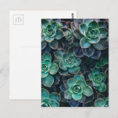 Planten van groene blauwe, succulente cactus opnie briefkaart (Voorkant / Achterkant)