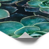Planten van groene blauwe, succulente cactus opnie poster (Hoek)