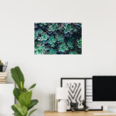 Planten van groene blauwe, succulente cactus opnie poster (Thuiskantoor)
