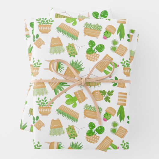 Planten van het huis Cactus op Witte papierbladen Inpakpapier Vel (In situ)