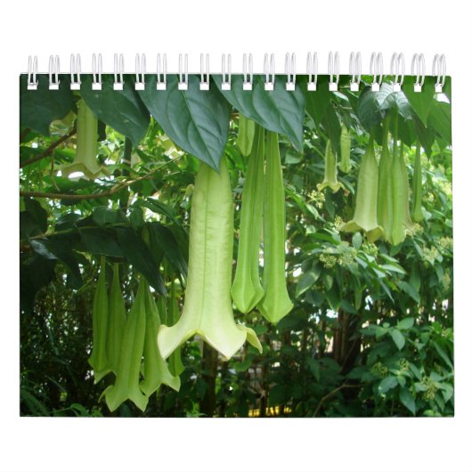 Planten van tropische regenwouden kalender (Hoes)