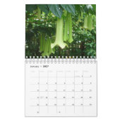 Planten van tropische regenwouden kalender (Jan 2027)