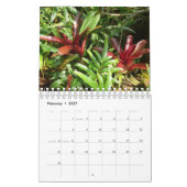 Planten van tropische regenwouden kalender (Feb 2027)