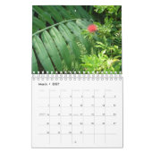 Planten van tropische regenwouden kalender (Mar 2027)