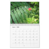 Planten van tropische regenwouden kalender (Mar 2026)