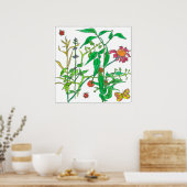 Planten van tuinen Coneflower Ladybug Butterfly Poster (Keuken)