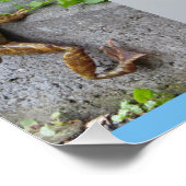 Planten van vogeldieren Collage Square Poster (Hoek)