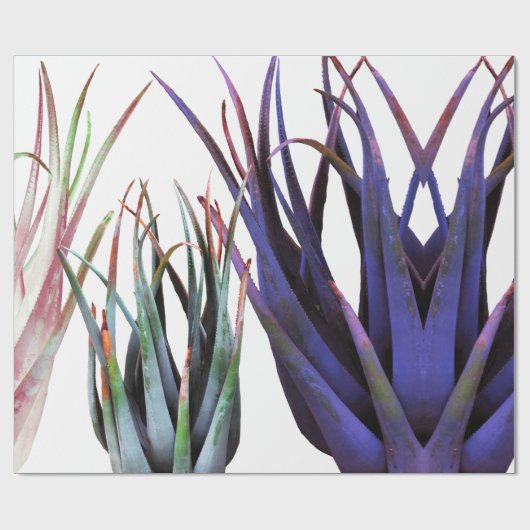 Planten Verpakkingspapier Cadeaupapier (Vlak)