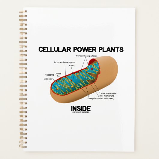 Planten voor cellulaire energie in Mitochondrion Planner (Voorkant)