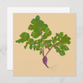 Planten voor de tuinbouw van landbouwgewassen (Voorkant / Achterkant)