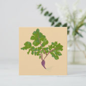 Planten voor de tuinbouw van landbouwgewassen (Staand voorkant)