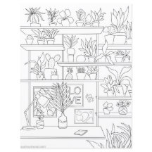 Planten voor het kleuren van vlinderbloemigen