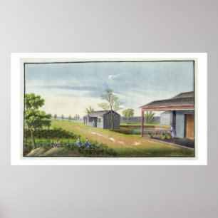 Planten voor het trenderen (m/v op papier) poster