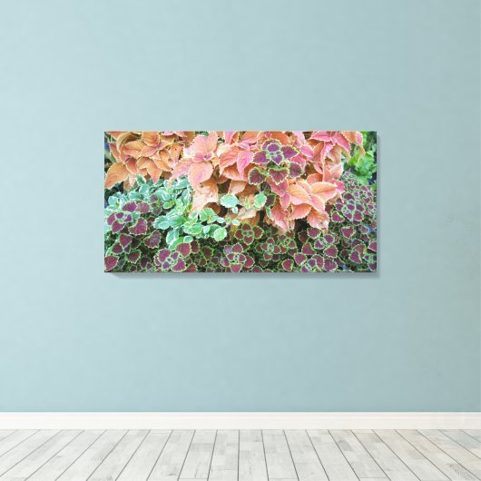 Planten voor kleurrijke regenboog canvas afdruk (Insitu (Houten vloer))