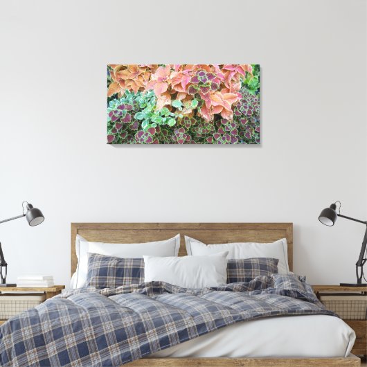 Planten voor kleurrijke regenboog canvas afdruk (Insitu (Slaapkamer))