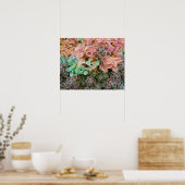 Planten voor kleurrijke regenboog poster (Keuken)