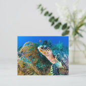 Planten voor schildpad en onderwater van zee, vis briefkaart (Staand voorkant)