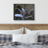 Planten woestijn canvas afdruk (Insitu (Slaapkamer))