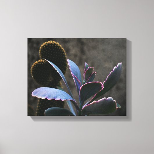 Planten woestijn canvas afdruk (Voorkant)