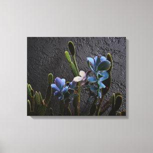 Planten woestijn canvas afdruk